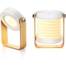 Litzee Dimmable Touch Light Bedside Lamp, Portable Bedside Lamps For Safe Night Light Portable Nightstand Bedside Lamp