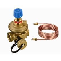 Valvola Di Bilanciamento Automatica Asv-p, Dimensione Dn 20