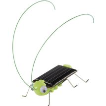 Solargrill – 46125 – Integrierter Vibrationsmotor – Für Garten und Balkon – Nicht für Kinder unter 3 Jahren geeignet