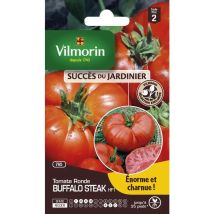 Semillas Vilmorin Buffalo Steak Hf1 Alto Rendimiento Resistente Enfermedad