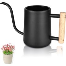Gieter 1 L Kleine Gieter Voor Kamerplanten, Mini-gieter Van Metaal, Kleine Gieter Voor Buitenplanten, Zwarte Gieter Voor Kamerplanten, Vetplanten