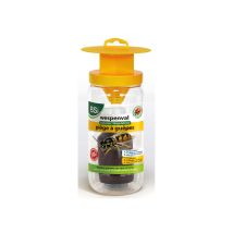 Trampa Reutilizable Para Avispas Y Avispones De 200 Ml