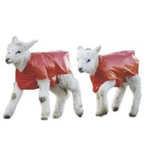 Insprovet - Chubasquero Impermeable Para Corderos. Protege A Los Corderitos Del Frío Y La Lluvia. Talla Única. Pack 25 Unidades