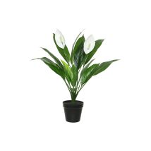 Pianta Artificiale Fiore Di Luna