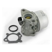 Vergaser Briggs Et Stratton 498170 - 494216 - 493422 - 498965 - 694882 - 792253
