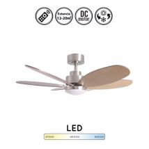 Ventilador De Techo Silencioso Dc Rainbow Con Luz Led Y Mando A Distancia. Función Verano-invierno. 101 Cm