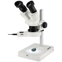 Eschenbach - 33213 33213 Stereomikroskop Binokular 20 X Auflicht