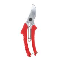 120dx Pruning She - Ars