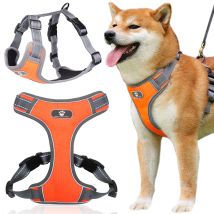 Astro Orangefarbenes Trainingsgeschirr Für Hunde, Größe L
