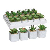 Mica Decorations - Suculenta Pvc 8x5cm Verde Maceta Plástica Gris Surtidos