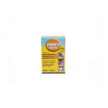 Cemento rapido 1 kg – A15102 – Confezione da 1 kg di cemento rapido Modello A15102 per presa rapida – Colorchimica