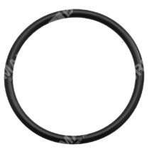 Anello OR per pompe – 023372 – Spessore 2,62mm, Diametro 36,14mm – Bertolini