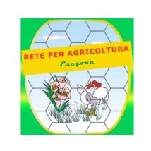 Rete Proland Zincata Esagonale Maglia 16/2 Mm Altezza 60 Cm Rotolo Da 50 Metri