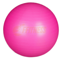 Palla svizzera 65 cm – Fitball – PVC anti-scoppio – 800 gr – Esercizi di equilibrio e riabilitazione