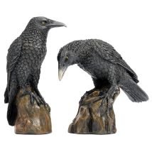 Design Toscano Cl6170 Statue Di Corvi Notte Mistica, 5x11.5x15 Cm