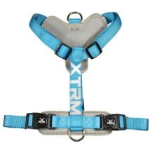 Arnes X-trm Cronos Neon Flashblau 25 Mm X 60-100 Cm