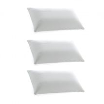 Oreiller Pack 3 Viscoélastique Thermovariable 90cm
