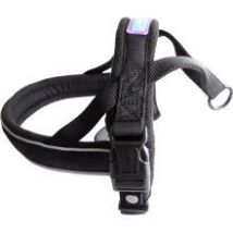 Dog - Hem & Boo Padded Harn Black Ref - 3/4x2 - 242823