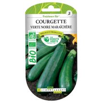 Samen Von Grüner Schwarzer Zucchini Bio-gartenbau Die Grünen Hände