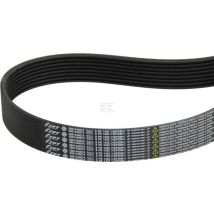 Cinghia Trapezoidale Cnh 84426014