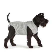 Fashion Dog - Cura Pets Op- Und Gesundheits-body Für Hunde Und Katzen - 43 Cm