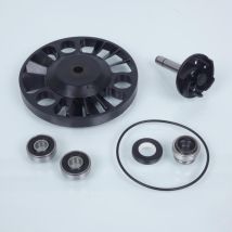Pompe À Eau Buzzetti Pour Scooter Aprilia 125 Scarabeo 4t 2002 À