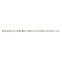 Brumberg Leuchten – Bande LED 5 m Blanc – Ruban LED – Couleur de la lumière, Longueur, Destination d’usage, Alimentation électrique, Indice de 