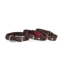 Collar Tartan Red 25x560 Mm - Camon