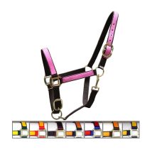 Accessoires de sellerie – Nylon lourd – Boucles plaquées laiton – Cheval – WINNER