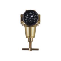 Ewo - Regolatore, Filo Conduttore: G 3/4 Pollice Portata A 6 Bar 300 Mc / H, Larghezza. : Dn 20, Altezza: 186 Millimetri