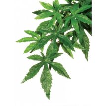 Exo Terra Plant De Seda Abuliton S.