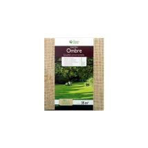 Césped De Sombra Semilla Pura 1kg