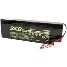Beghelli 6v 4ah Batteria Al Piombo Skb
