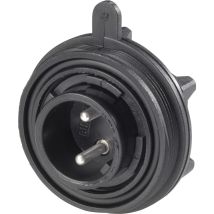 Px0735/p Rundstecker Stecker, Einbau Gesamtpolzahl: 2 Serie (rundsteckverbinder): Px07 1 St. - Bulgin