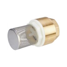 Crépine Laiton F15x21 Filtration Robuste Pour Pompe À Eau - Capvert