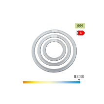 Tubofluorescente Circolare 22w Ø21cm Triphosforo 865k Luce Fredda Philips