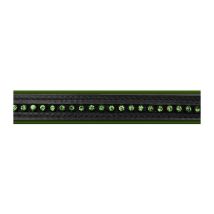 Briglia Waldhausen Star Diamond Naso Combinato Imbottito Verde