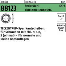 Teckentrup - Sperrkantscheibe R 88123 S 12x24,25x1,6 Federstahl Zinklamellenbeschichtet