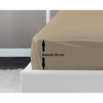 Les Tendances - Sábana Ajustable Lovely Home 100% Algodón 160x200x30 Cm Beige
