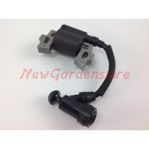 Bobine D'Allumage Daye Dg 450 600 Tondeuse À Gazon Progreen Pg 31