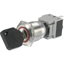 Interruttore A Chiave 250 V/ac 5 A 1 X Off / On 1 X 90 ° Tru Components 704395 Ip40 1 Pz.