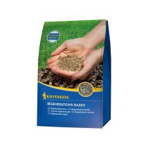 Césped de regeneración Kiepenkerl – Mezcla especial para reparar áreas dañadas – Alta capacidad de regeneración – Germinación rápida