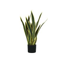 King Home Sansevieria Pflanze H. 75 Cm 21 Leaves Komplett Mit Topf Mit Moos
