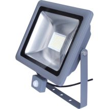 Projecteur Led Avec Bwm 20 W, 6000 K