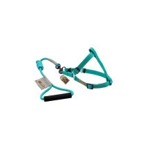 Harnais pour chien – Taille S – Aqua – 15 mm x 33-55 cm – ZEUS