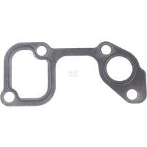 Briggs & Stratton – Joint 820100 – Moteur pour outil de jardinage