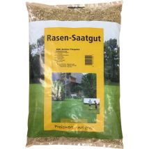 FP – Grano césped ornamental Berlín Tiergarten 1 kg – Calidad robusta, rápido desarrollo