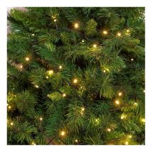 Lotti - Catena Lineare Minilucciole A Led Serie 'tl-c' 500 Led Multicolor - 22 Mt. (20+2)