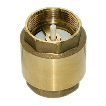 Rückschlagventil 1 1/2" – Messing – Hochwertiges Rückschlagventil für 40-mm-Rohre – GNCGARDEN