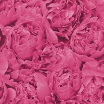 Rasch - Freundin Pink Rose Wallpaper Floral Textured Paste The Wall Vinyl
